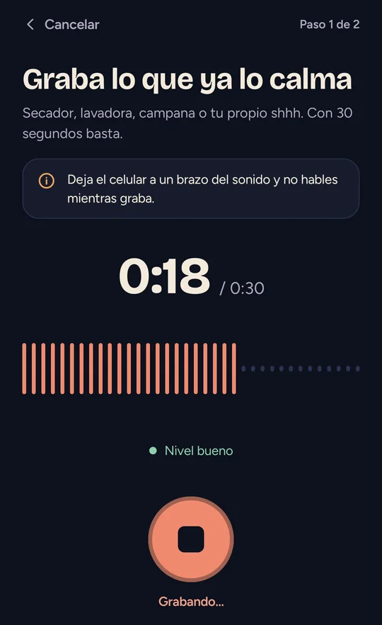 Pantalla de grabación, con el nivel de señal y el tiempo